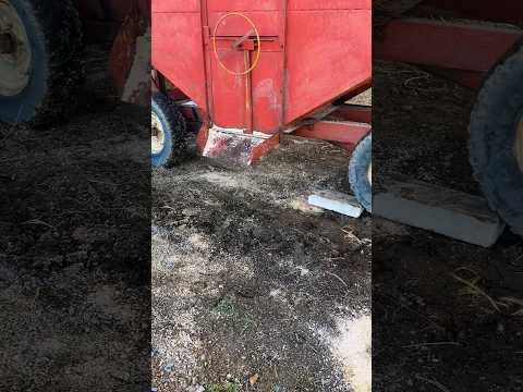 Farm wife Tales From Ellis Farm Part 2: Fresh Feed#cattle#farm#feed