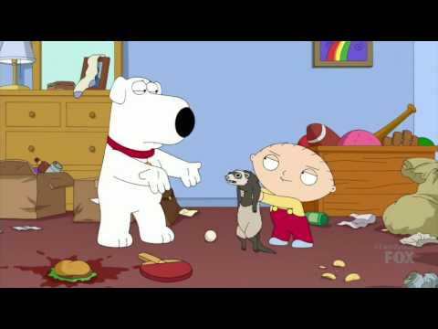 Stewie and the Ferret