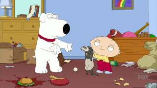 Stewie and the Ferret