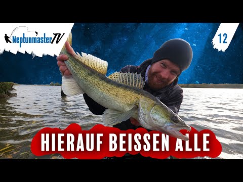 Auf diesen Köder beißen alle Räuber - RF Blue Glitter CHATTERBAIT #12