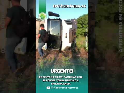 ACIDENTE CAMINHÃO COM PORCOS #Acre #Epitaciolândia #BR317   #CargaViva #Porcos #AFronteiraEmFoco