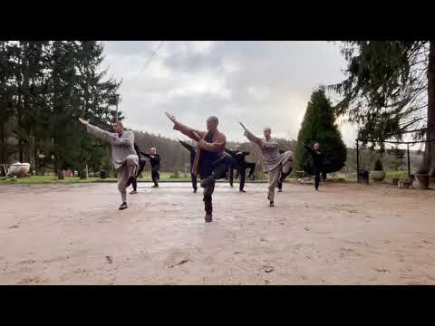 5 stances of Shaolin congfu Wu Bu Quan 五步拳 with Master Shi Heng Yi+disciples(Shaolin Temple Europe)
