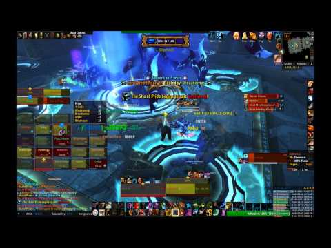How to Tank for Dummies - Sha of Pride LFR