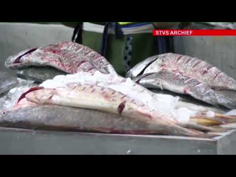 Description or Alt Text