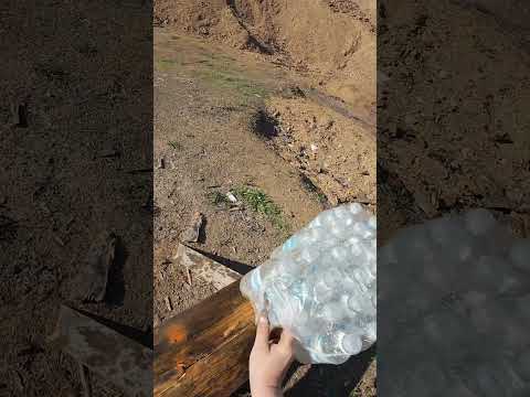 38 SPECIAL AMMO TEST @corbon 110 GR +P ​⁠DPX @BarnesBulletsLLC @taurusfirearms #shorts#short#fyp