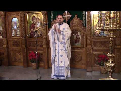 pr. Adrian Chiriță - predică la pilda celor 10 leproși (20.01.2019)