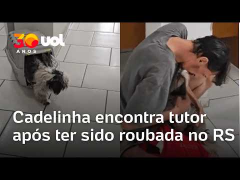 Cadelinha reencontra tutor após sumir e ter sido roubada no Rio Grande do Sul
