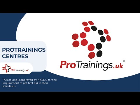 About ProTrainings Europe