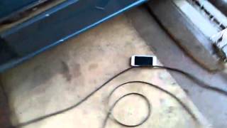 Ford Windstar: EVAP canister and EGR locations.