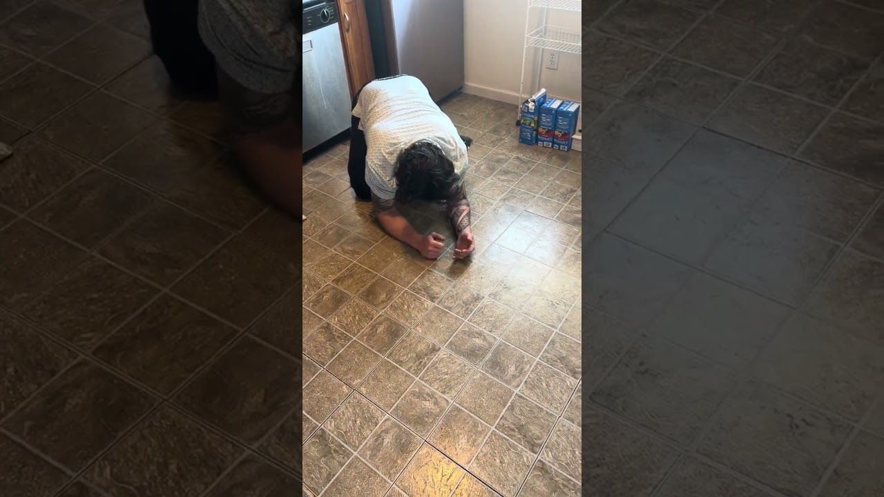 Hannah, an adopted mixed breed in Boulder, CO video 2/6