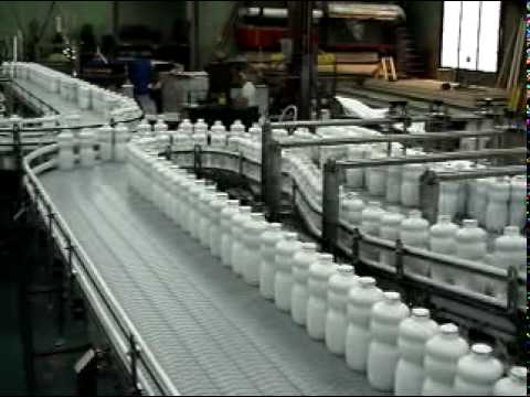 Easy Clean Dairy Conveyor