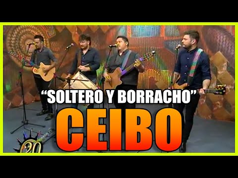 CEIBO SOLTERO Y BORRACHO