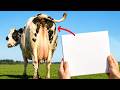 I Tried The Ancient Technique Of Turning Cow Poop Into Art
