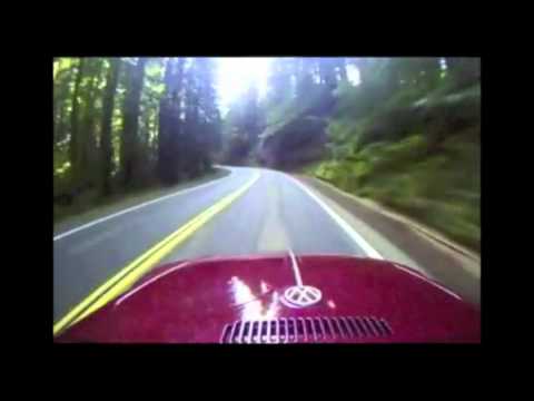 Adventures With Aviator - Driving My 1970 VW Beetle Through the Redwoods...