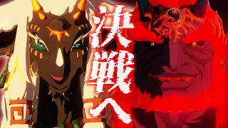 ラウルの決意…ついに決戦が始まる【ゼルダ無双 封印戦記 #15】