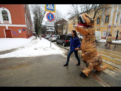 ЧП: из воронежского парка «Орлёнок» сбежал самый большой динозавр