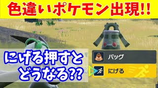 【ポケモンSV】色違いポケモンを倒したり逃げたりしても大丈夫なのか検証【スカーレットバイオレット】