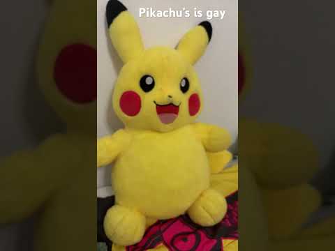 Pikachu  is gay￼