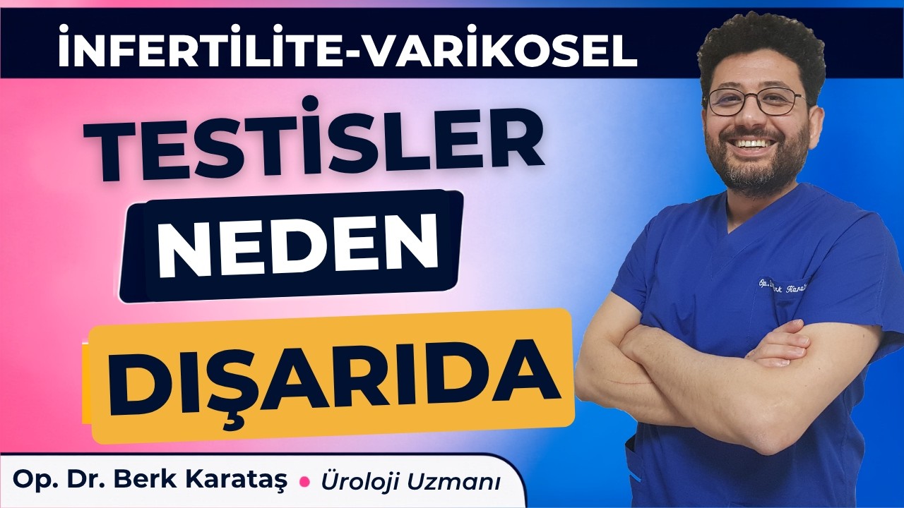 Testisler Neden Vücudun Dışında? Sperm Üretiminde Isının Rolü