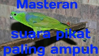 Download lagu suara pikat burung nuri kring kring bukit betet mp3 Download lagu suara pikat burung nuri kring kring bukit betet mp3