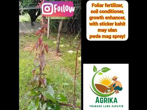 Agri Rich Organic Foliar Fertilizer