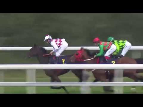 2016.10.16 Svenskt St Leger - Lord Divine