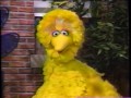 Sesame Street Big Bird S Sleepy Health Tip