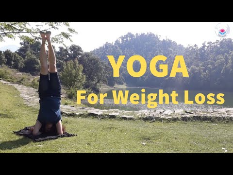 Yoga For Weight Loss - Tarot Inseeya