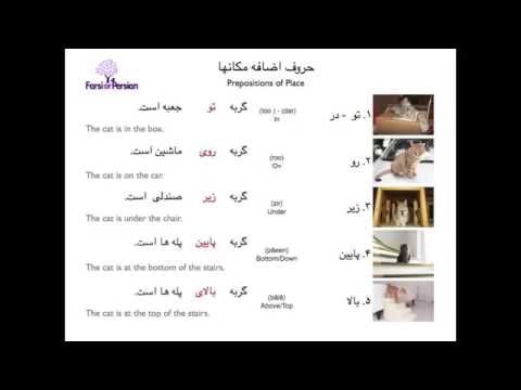 Learn Persian- Beginning - Reading 6 | Where is the cat?