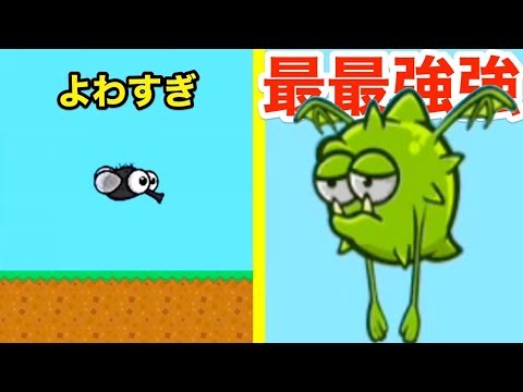 空飛ぶ哺乳類:例、特徴、画像