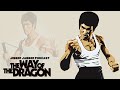The Way Of The Dragon Movie Review