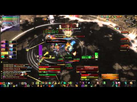 The Fallen Protectors - 10 Heroic - Tank PoV