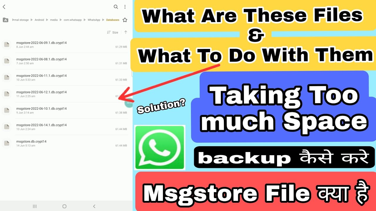 What is msgstore.db.crypt | Whatsapp Database Files | How to Delete and make space in Android