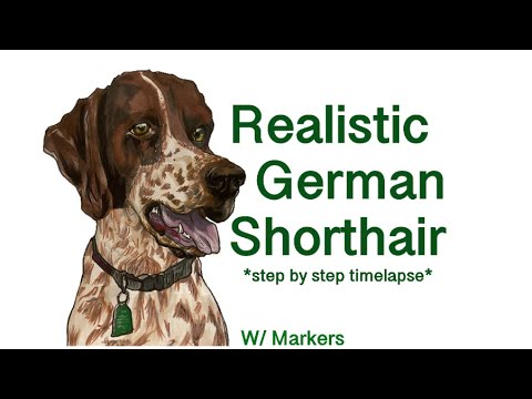 How to Draw a Realistic German Shorthair ~ W/ Markers ~ Brixy 💚