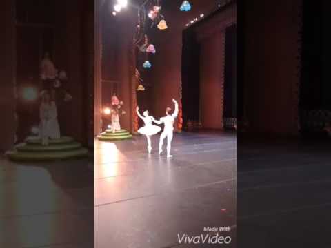 Mel Oliveira e Murilo Gabriel solistas do Ballet do Theatro Municipal do Rio de Janeiro