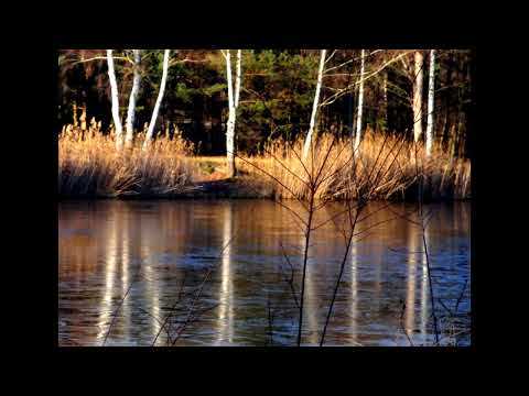 tak jak wiatr Ryszard Wolbach