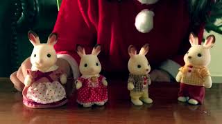 Sylvanian Family Characters and Bluebell Seven Seater car (part1)- Merry Christmas!