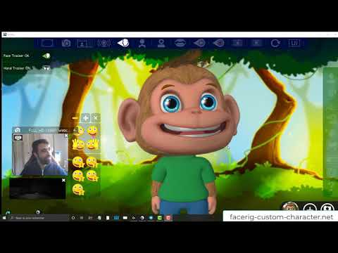 custom facerig custom facerig