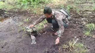 Download lagu Pikat Tekukur - Efek dari hujan Si KM gagal bawa taw4nan Burung Tekukur Liar pulang !!! mp3