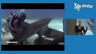 Shark World - Shark Expert Christina Zenato talks at the GO Diving Show #scuba #sharks