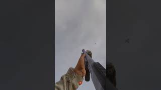 1番リアルなA10 Insurgency Sandstorm #shorts