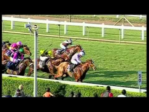 Clairwood 30062013 race 8