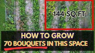 Small Backyard Flower Farming: 4 Crops, 144 Square Feet, 70+ Bouquets