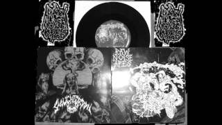 RAW NOISE APES SPLIT EP WITH SLAUGHTERDAY