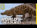 World's Deadliest - Croc Attack! 