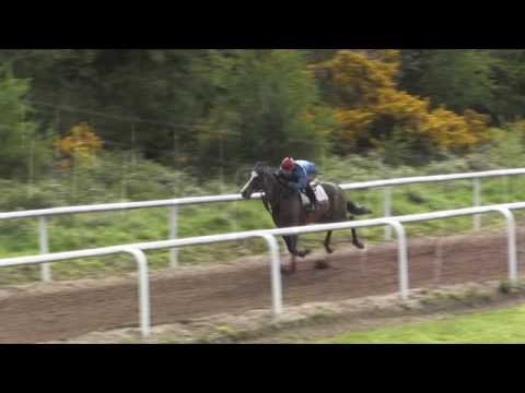 Maxios x I'm Sensational