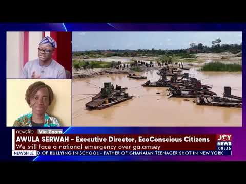Galamsey fight under Mahama: Where is the progress? | Newsfile