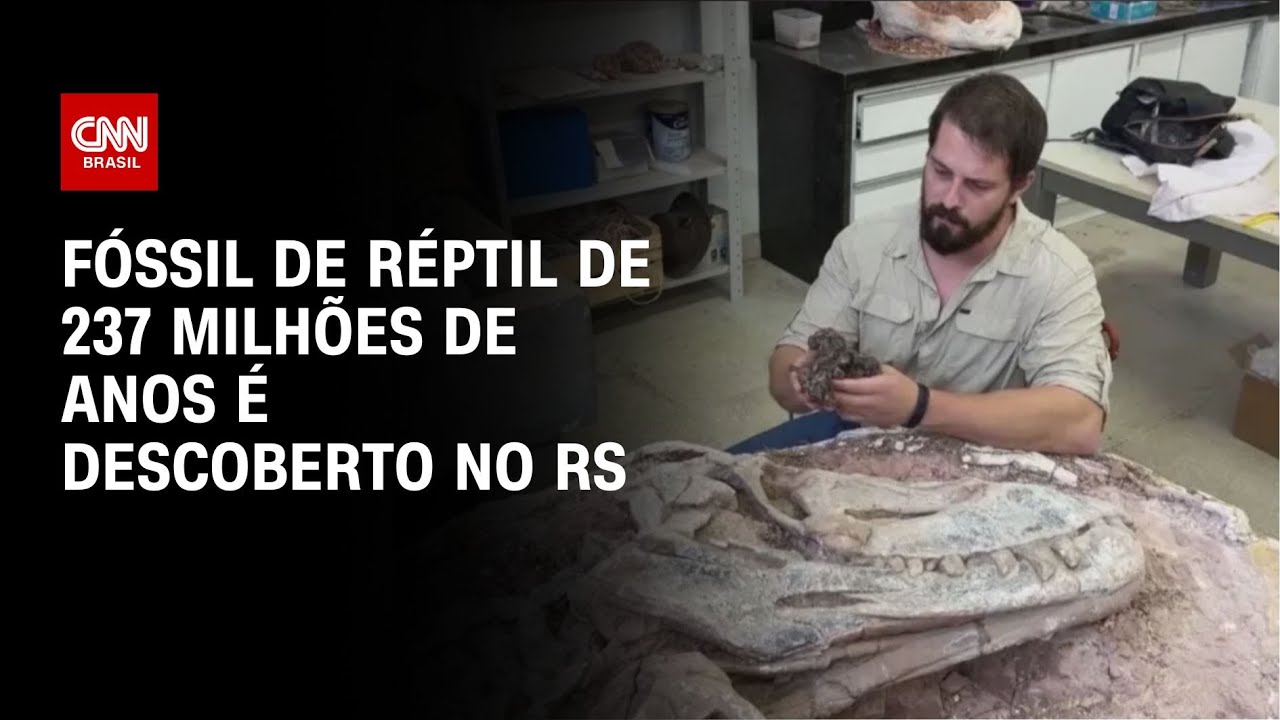 Fóssil de réptil de 237 milhões de anos é descoberto no RS | CNN NOVO DIA