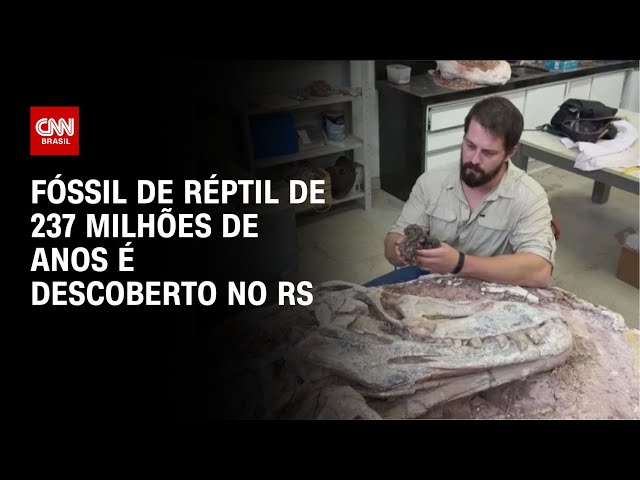 Fóssil de réptil de 237 milhões de anos é descoberto no RS | CNN NOVO DIA