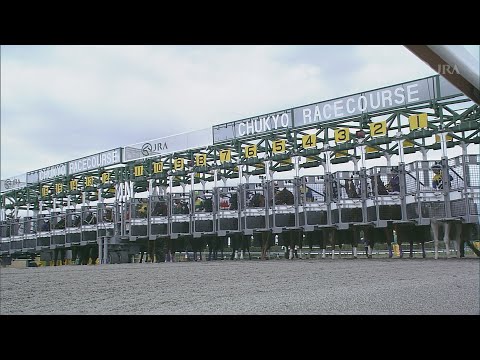 2021 CHAMPIONS CUP (G1) | JRA Official